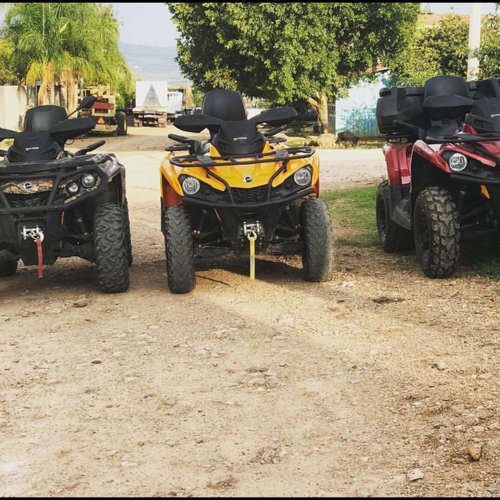 Meet your Posher, Luis